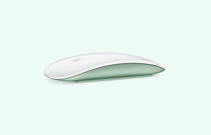 Apple Magic Mouse (Used)