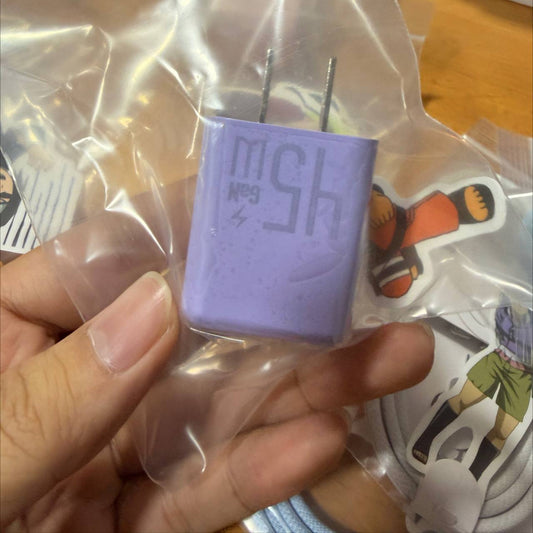 Power Adapter 45W (Color)